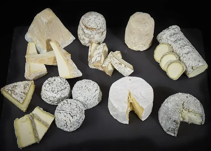 Ibis Poitiers Site Du Futuroscope Hotel 3*